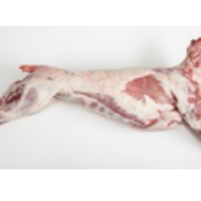 resources of Lamb Meat - Carcass exporters