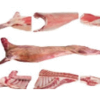 Goat Meat - Carcass - Parts Exporters, Wholesaler & Manufacturer | Globaltradeplaza.com