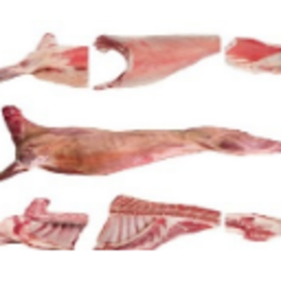 resources of Goat Meat - Carcass - Parts exporters