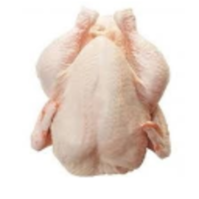resources of Frozen Chicken Whole Griller exporters