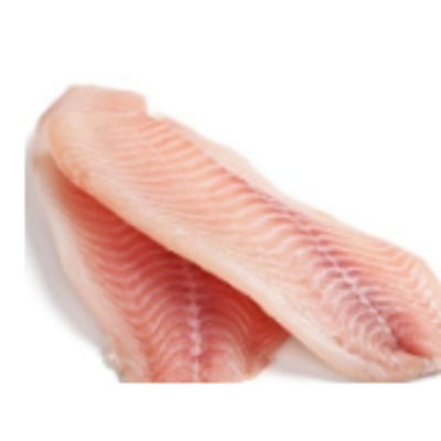resources of Frozen Fish - Humour Fish Fillet exporters