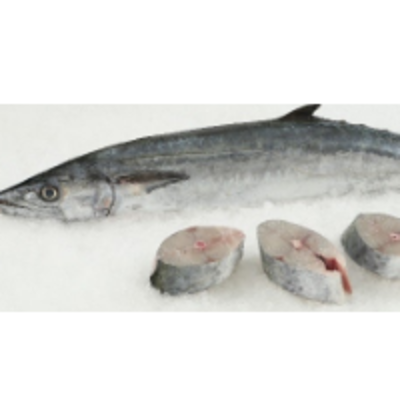 resources of Frozen Fish - Kingfish exporters