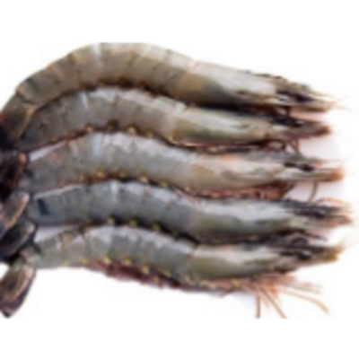 resources of Frozen Seafood - Tiger Prawn exporters