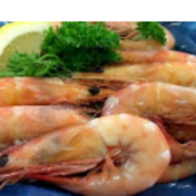 resources of Frozen Seafood - Banana Prawn exporters