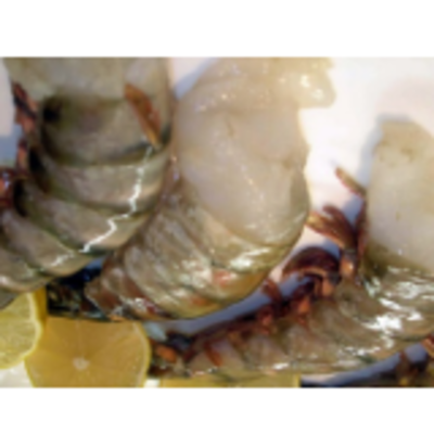 resources of Frozen Seafood - Colossal Shrimp exporters