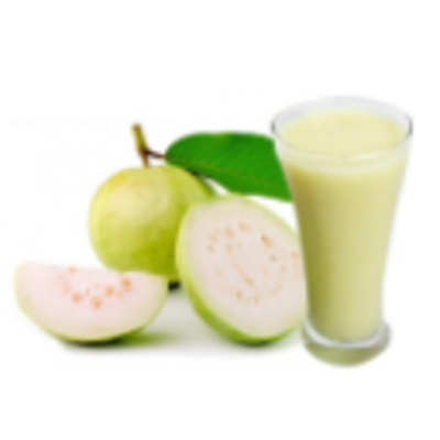 resources of Canned Guava Pulp exporters