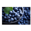 Frozen Fruits - Blueberries Exporters, Wholesaler & Manufacturer | Globaltradeplaza.com
