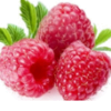 Frozen Fruits - Raspberry Exporters, Wholesaler & Manufacturer | Globaltradeplaza.com