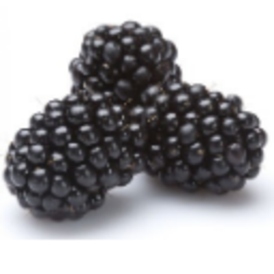 resources of Frozen Fruits - Blackberries exporters