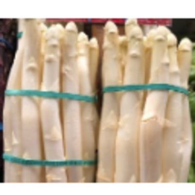 resources of Frozen Vegetables - White Asparagus Cuts exporters