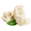 Frozen Vegetables - Cauliflower Florets Exporters, Wholesaler & Manufacturer | Globaltradeplaza.com