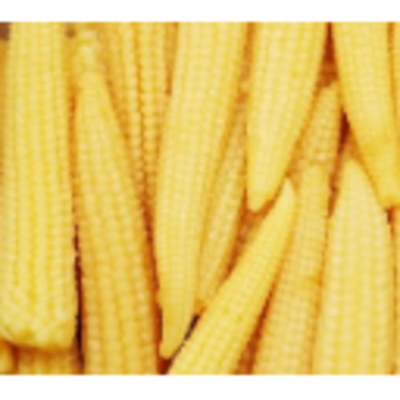 resources of Frozen Vegetables - Baby Corn Whole exporters