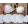 Frozen Vegetables - Sliced Turnips Exporters, Wholesaler & Manufacturer | Globaltradeplaza.com