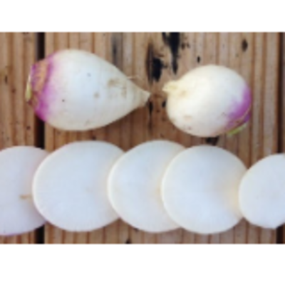 resources of Frozen Vegetables - Sliced Turnips exporters