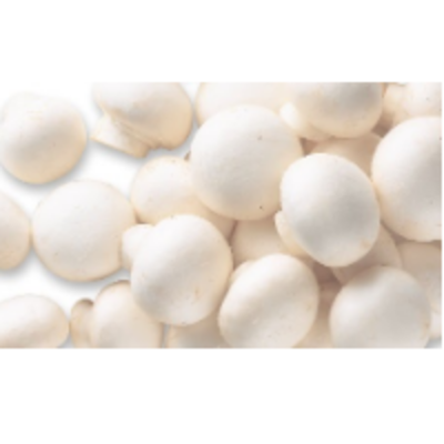 resources of Frozen Vegetables - Mushrooms Whole exporters