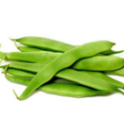 resources of Frozen Vegetables - Flat Bean exporters
