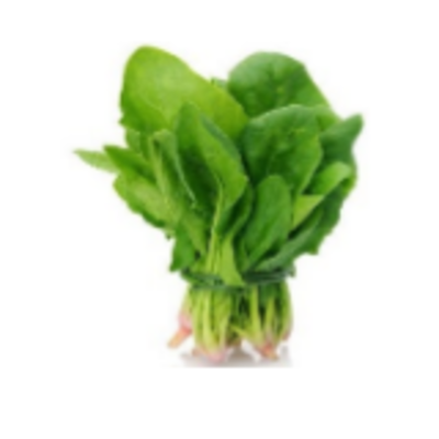 resources of Frozen Vegetables - Spinach exporters
