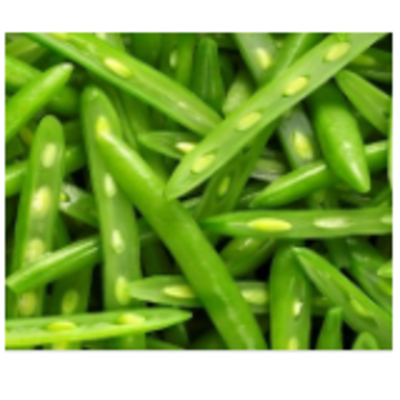 resources of Frozen Vegetables - Green Beans Sliced exporters
