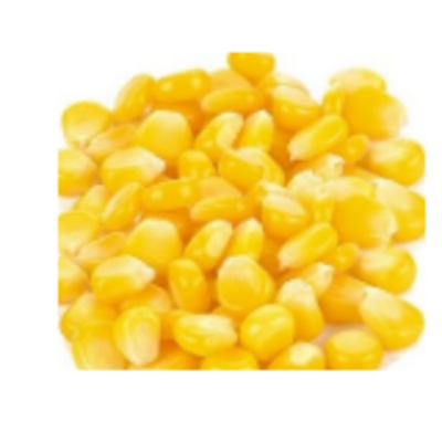 resources of Frozen Vegetables - Sweet Kernel Corn exporters