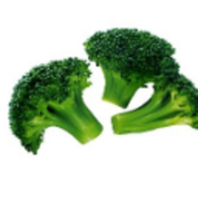 resources of Frozen Vegetables - Brocolli Florets exporters