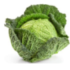 Frozen Vegetables - Savoy Cabbage Exporters, Wholesaler & Manufacturer | Globaltradeplaza.com