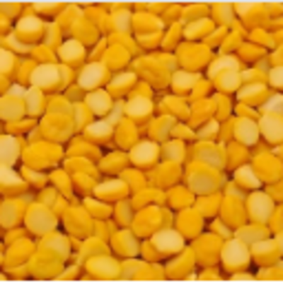 resources of Pulses/lentils - Chana Dal exporters