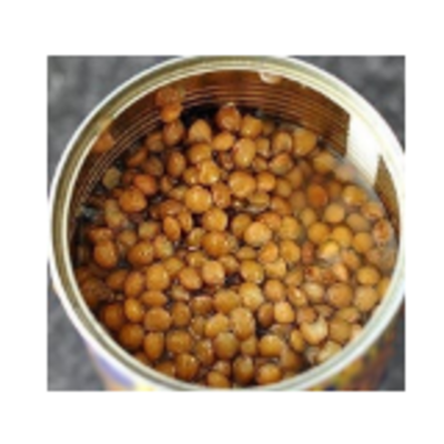 resources of Canned Lentils exporters