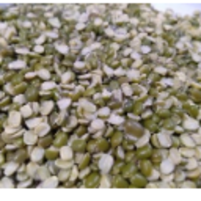 resources of Pulses/lentils - Moong Chilka Green exporters