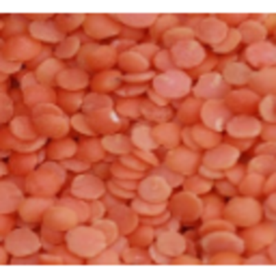 resources of Pulses/lentils - Red Lentil Split exporters