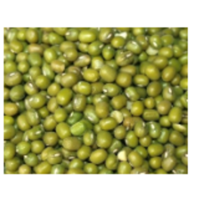 resources of Pulses/lentils - Moong Whole Green exporters