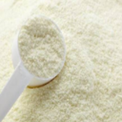 resources of Milk Powder exporters