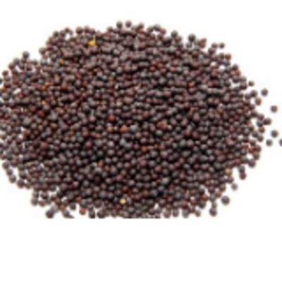 resources of Spices Whole - Black Mustard Seeds exporters