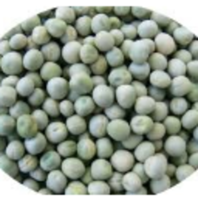 resources of Pulses/lentils - Green Peas exporters