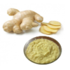 Canned / Bottled - Ginger Paste Exporters, Wholesaler & Manufacturer | Globaltradeplaza.com