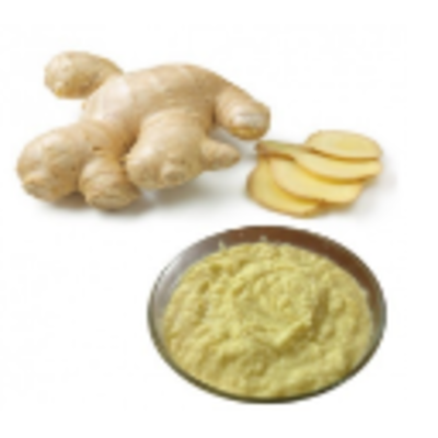 resources of Canned / Bottled - Ginger Paste exporters