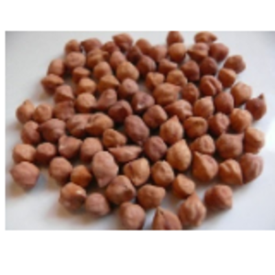 resources of Pulses/lentils - Kala Chana ( Black Chick Peas) exporters