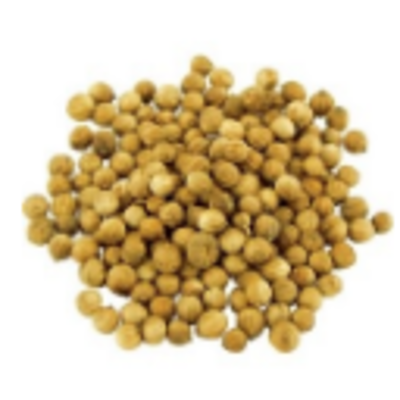 resources of Spices Whole - Coriander exporters