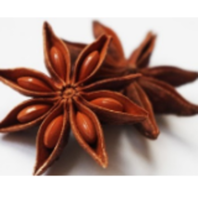 resources of Spices Whole - Star Anise exporters