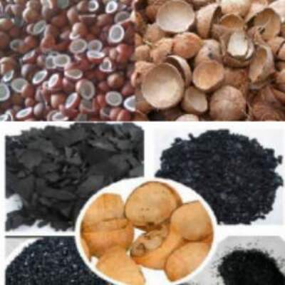Dried Coconut Exporters, Wholesaler & Manufacturer | Globaltradeplaza.com