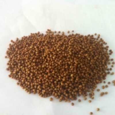 resources of Tilapia Feed exporters