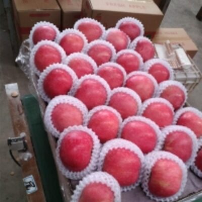 resources of Delicious Red Apple Premium Quality exporters