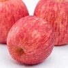 Delicious Red Apple Exporters, Wholesaler & Manufacturer | Globaltradeplaza.com