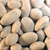 Black And Red Beans Exporters, Wholesaler & Manufacturer | Globaltradeplaza.com