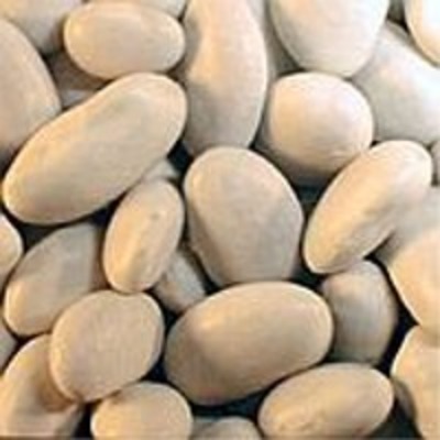 resources of Black And Red Beans exporters