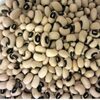 Black Eye Beans Exporters, Wholesaler & Manufacturer | Globaltradeplaza.com