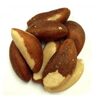 Brazil Nut Exporters, Wholesaler & Manufacturer | Globaltradeplaza.com