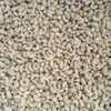 Raw Cashew Nut Exporters, Wholesaler & Manufacturer | Globaltradeplaza.com