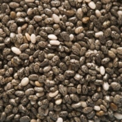 resources of Chia Seeds exporters