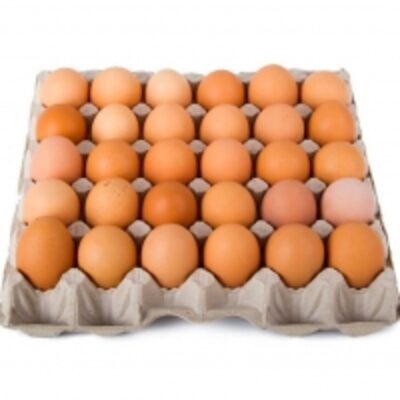resources of Fresh Brown And White Table Eggs exporters