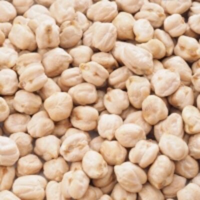 resources of High Quality Dried Chickpeas exporters